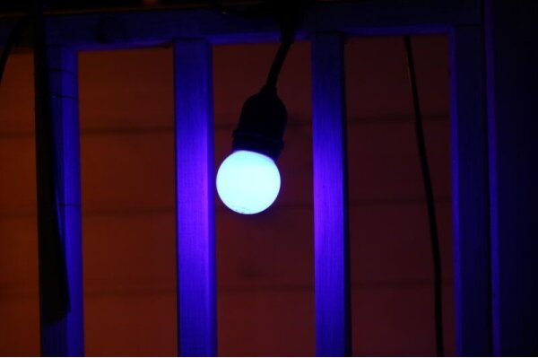 SADA 2x LED Žárovka PARTY E27/0,5W/36V modrá 3000K