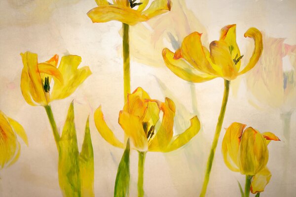 Ilustrace Flowering tulips, Nel Talen, (40 x 26.7 cm)