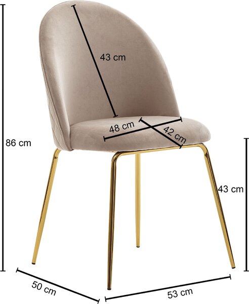 FineBuy Design – jídelní židle, béžový samet, sada 2 ks s prošíváním, moderní kuchyňská židle, jídelní židle se zlatými nohami, pohodlné čalouněné kuchyňské židle
