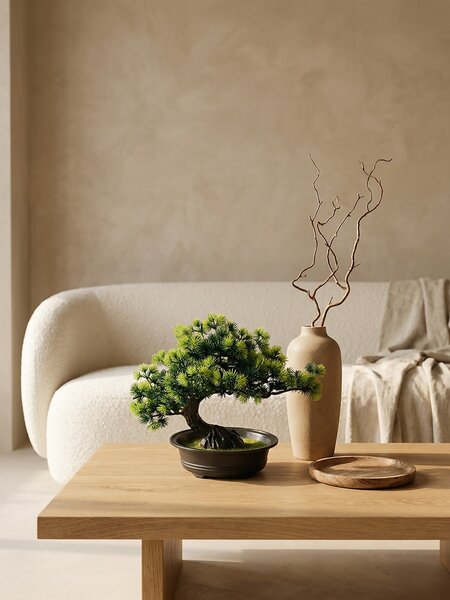 Sinsay - Dekorační rostlina bonsai v květináči - zelená
