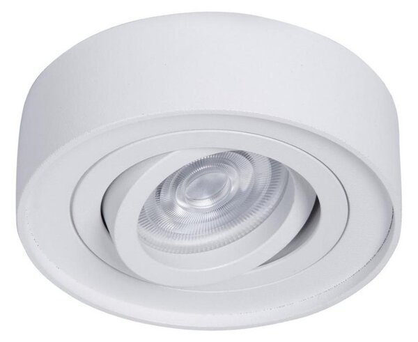 Podhledové bodové svítidlo NUSA 1xGU5,3/MR16/50W/12V kulatý bílá