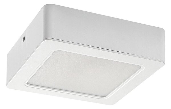 Rabalux 3174 - LED Stropní svítidlo SHAUN LED/12W/230V 14,5 cm