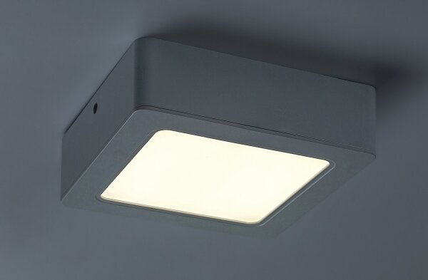 Rabalux 3174 - LED Stropní svítidlo SHAUN LED/12W/230V 14,5 cm