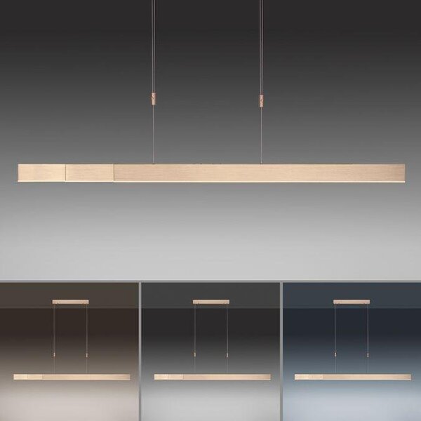 Paul Neuhaus Závěsné LED svítidlo PURE-MOTO, 3x13W, d. 120 cm, 2700-5000K, nastavitelné Barva: Zlatá