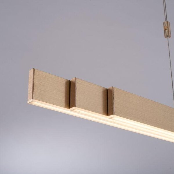 Paul Neuhaus Závěsné LED svítidlo PURE-MOTO, 3x13W, d. 120 cm, 2700-5000K, nastavitelné Barva: Zlatá