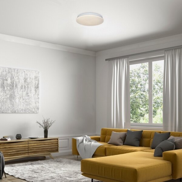 Rabalux 71101 - LED Stropní svítidlo VENDEL LED/12W/230V 3000K 25 cm