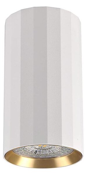 Bodové svítidlo NICEA 1xGU10/10W/230V bílá