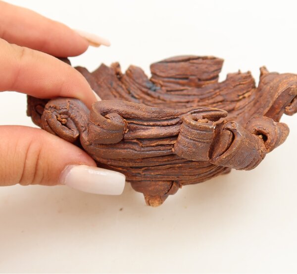 E-bonsai Keramická Skořápka 11 x 8,5 x 5 cm hnědá