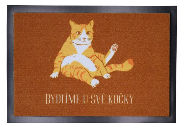 Mercury Flooring, TRHÁK: Rohožka Bydlíme u své kočky 40x60 cm, 40x60, oranžová