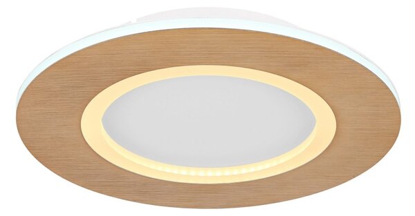 Globo GLB41767R LED přisazené stropní svítidlo CLAY | 24W integrovaný LED zdroj | 1370lm | 2700-6500K