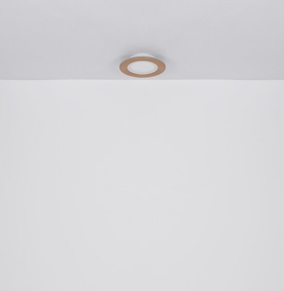 Globo GLB41767R LED přisazené stropní svítidlo CLAY | 24W integrovaný LED zdroj | 1370lm | 2700-6500K