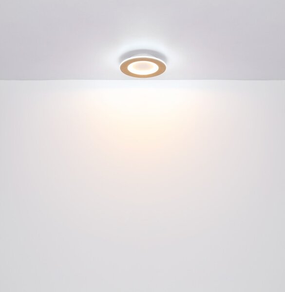Globo GLB41767R LED přisazené stropní svítidlo CLAY | 24W integrovaný LED zdroj | 1370lm | 2700-6500K