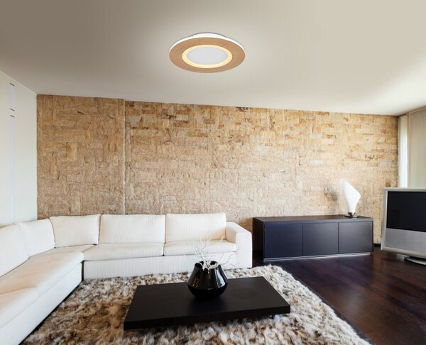 Globo GLB41767R LED přisazené stropní svítidlo CLAY | 24W integrovaný LED zdroj | 1370lm | 2700-6500K