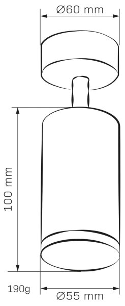 Koupelnové bodové svítidlo TURYN 1xGU10/10W/230V IP44 černá