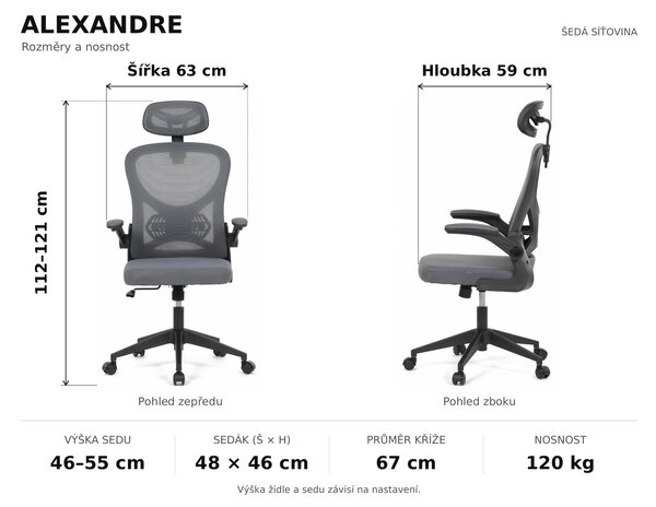 Ergonomická kancelářská židle ALEXANDRE - šedá síťovina