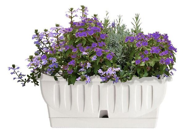 BAMA Truhlík Natura, bílá, Rozměry: 50 cm, s podmiskou