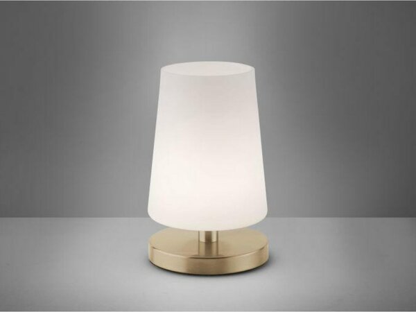 PAUL NEUHAUS LED stolní lampa v matné mosazi s decentním podlouhlým stínítkem na lampu 3000K PN 4146-60