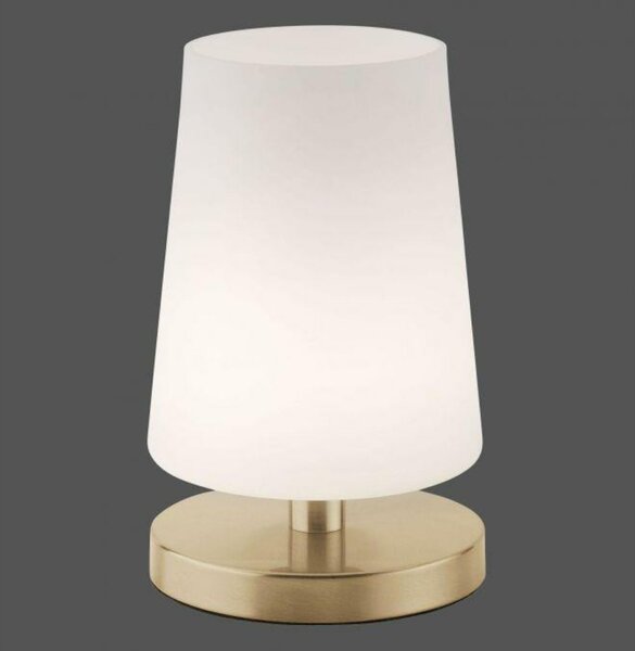 PAUL NEUHAUS LED stolní lampa v matné mosazi s decentním podlouhlým stínítkem na lampu 3000K PN 4146-60