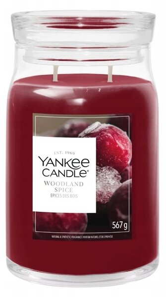 Sójová vonná svíčka Woodland Spice Yankee Candle