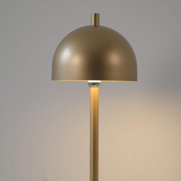 JUST LIGHT Kolekce Schöner Wohnen LED stolní lampa Bellies zlatá barva 3000K