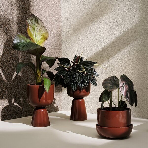 Květináč Nappula iittala s podmiskou hnědý *