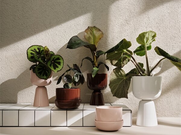 Květináč Nappula iittala s podmiskou hnědý *
