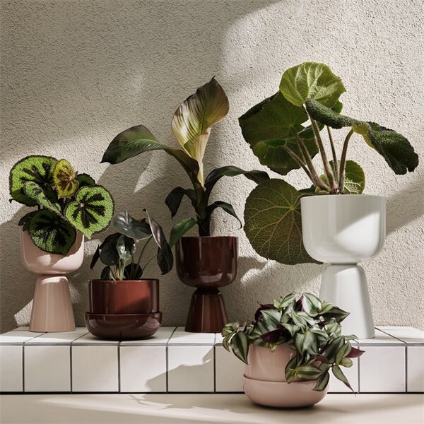 Květináč Nappula iittala s podmiskou hnědý *