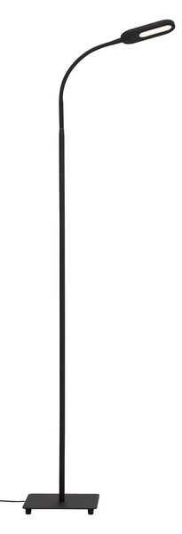 Briloner LED stojací lampa, 600 lm, teplá–studená bílá, 134 cm