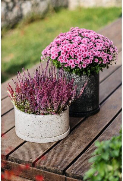 Tmavě šedý květináč Bonami Selection Terrazzo, ø 34 cm