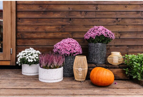 Tmavě šedý květináč Bonami Selection Terrazzo, ø 34 cm