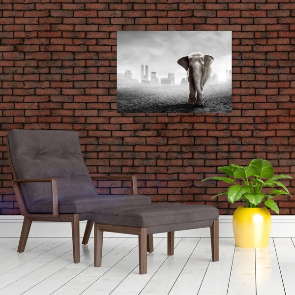 Obraz - Slůně ve velkoměstě, černobílá varianta (70x50 cm)