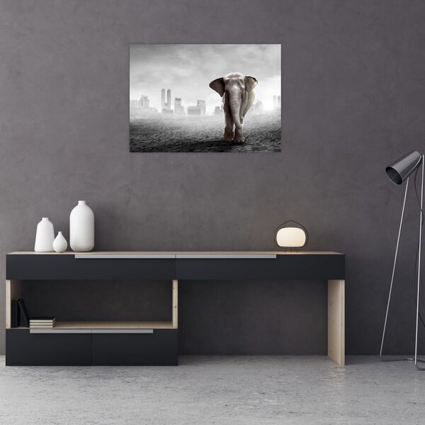 Obraz - Slůně ve velkoměstě, černobílá varianta (70x50 cm)