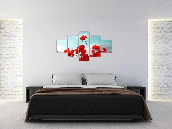 Obraz pole s jasně červenými květy (125x70 cm)
