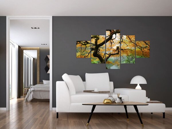 Obraz žlutého japonského javoru, Portland, Oregon (125x70 cm)