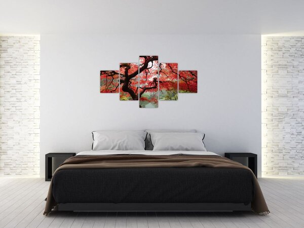 Obraz červeného japonského javoru, Portland, Oregon (125x70 cm)