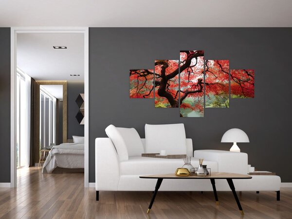 Obraz červeného japonského javoru, Portland, Oregon (125x70 cm)