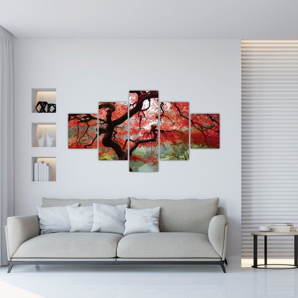 Obraz červeného japonského javoru, Portland, Oregon (125x70 cm)