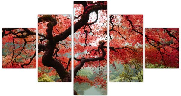 Obraz červeného japonského javoru, Portland, Oregon (125x70 cm)