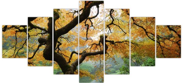 Obraz žlutého japonského javoru, Portland, Oregon (210x100 cm)