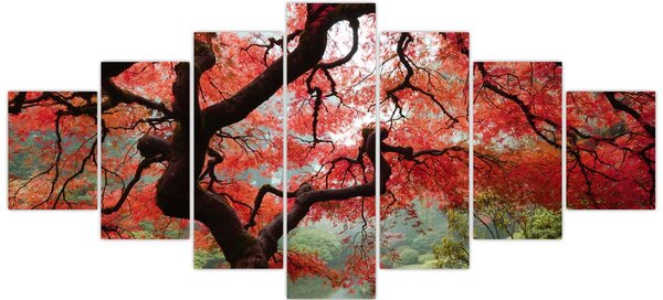 Obraz červeného japonského javoru, Portland, Oregon (210x100 cm)