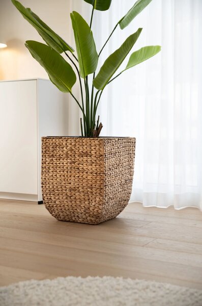 Květináč ASIA, vodní hyacint, výška 50 cm, natur