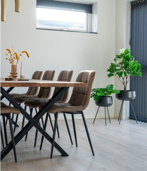 Světle hnědé jídelní židle v sadě 2 ks Moseby – Bonami Essentials