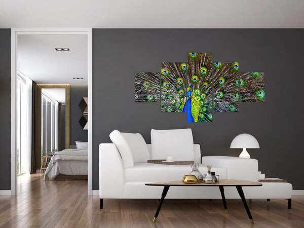 Obraz - Páv (125x70 cm)