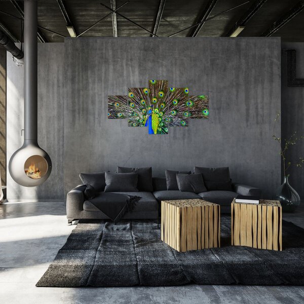 Obraz - Páv (125x70 cm)