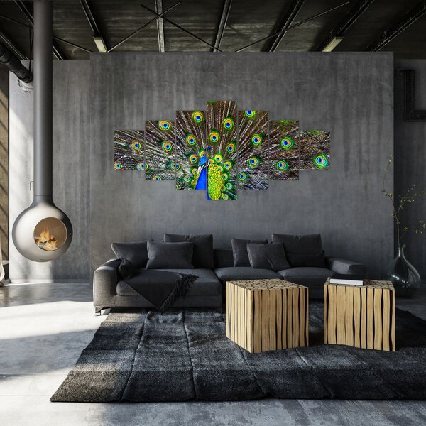 Obraz - Páv (210x100 cm)