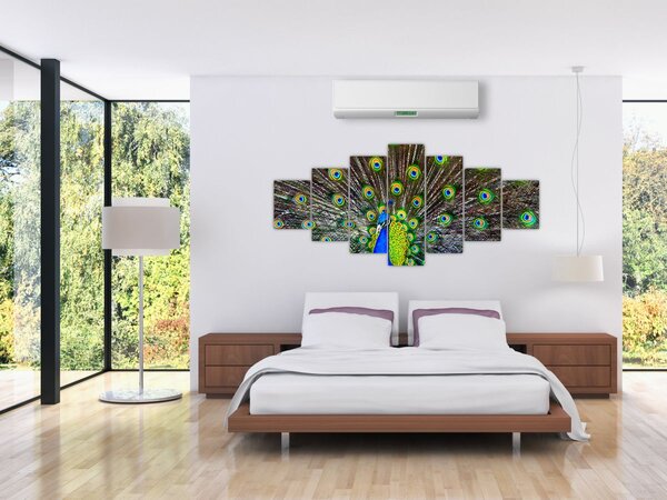 Obraz - Páv (210x100 cm)