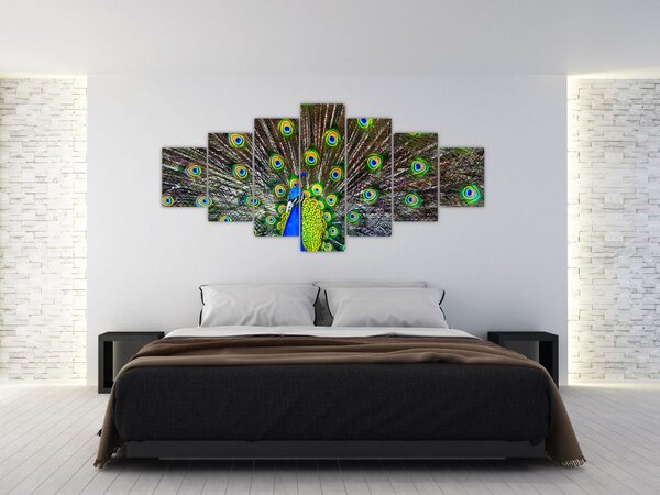 Obraz - Páv (210x100 cm)