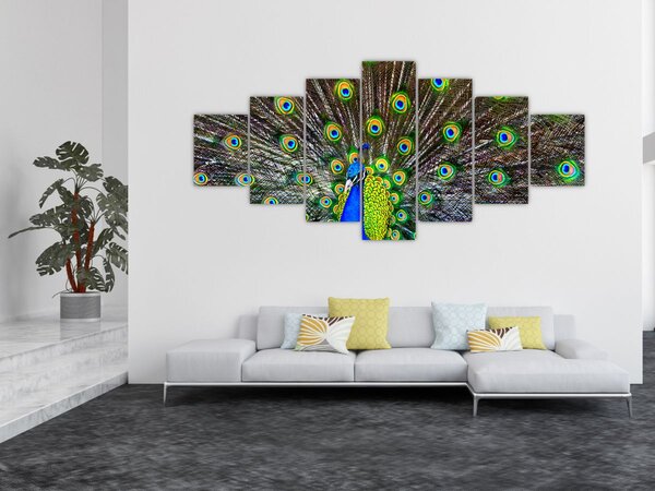 Obraz - Páv (210x100 cm)