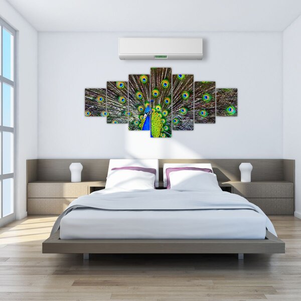 Obraz - Páv (210x100 cm)