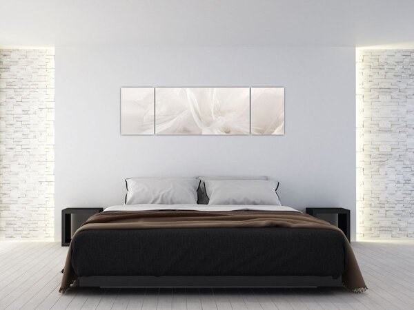 Obraz - Peří (170x50 cm)
